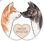 Akita Mike, 6 jaar of ouder, Reu, Eén hond, Nederland