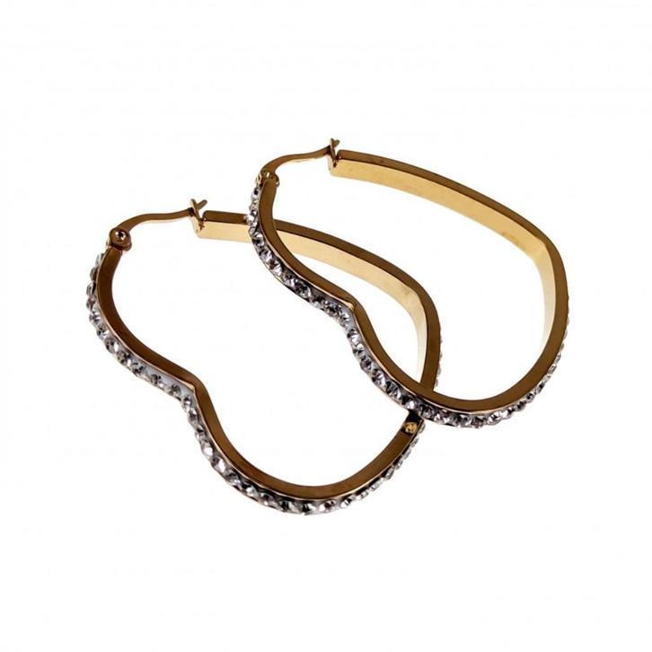 Oorbellen Dames Earrings Verguld RVS Hartvormige Oorringen, Sieraden, Tassen en Uiterlijk, Oorbellen, Nieuw, Hangers, Overige materialen