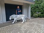 Bengaalse witte Tijger mooi en groot lifesize 225cm Uniek, Ophalen of Verzenden, Gebruikt, Dier