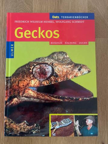 Geckos, biologie haltung zucht beschikbaar voor biedingen
