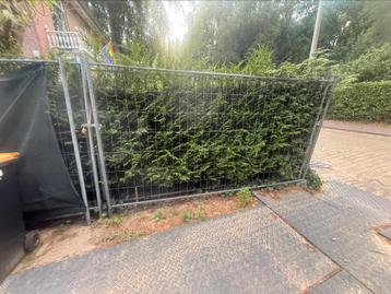 Bouwhekken te koop – 12 tot 14 stuks – inclusief alles! beschikbaar voor biedingen