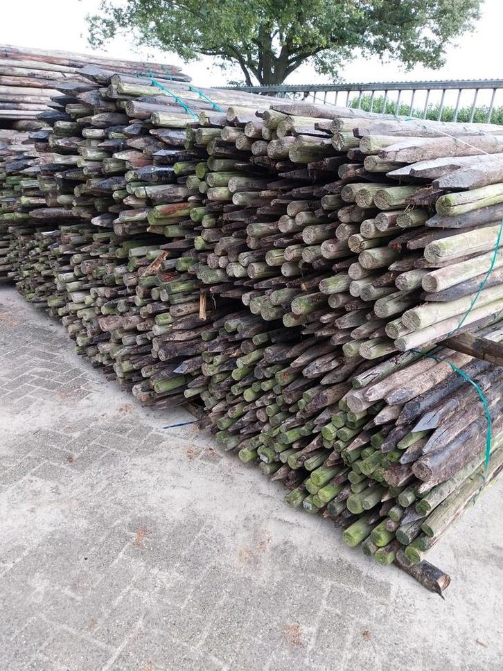 Boompalen 250cm, gepunt. Palen, weidepalen, Tuin en Terras, Palen, Balken en Planken, Gebruikt, Palen, 250 cm of meer, Ophalen