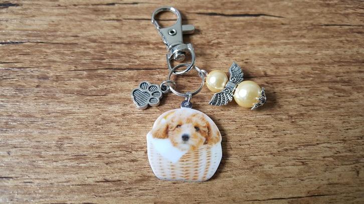 Tas/Sleutelhanger Goldendoodle in mand met beschermengeltje, Verzamelen, Sleutelhangers, Nieuw, Dier of Natuur, Verzenden