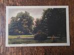 Oude ansichtkaart Tilburg Wilhelminapark, Verzamelen, Ansichtkaarten | Nederland, Ophalen of Verzenden, Voor 1920, Noord-Brabant