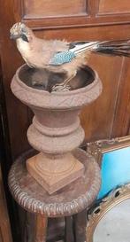 Vlaamse gaai, Ophalen of Verzenden