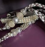 Showlijn kleine hond chihuahua, Dieren en Toebehoren, Ophalen of Verzenden, Nieuw