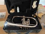 Staunbach Royale JFG-102S Bugel / Flugelhorn, Ophalen, Gebruikt, Overige typen, Met koffer