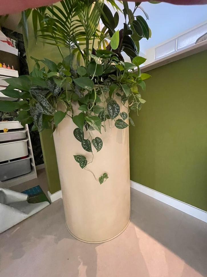 Grote plantenbak met beplanting / binnen of buiten, Tuin en Terras, Bloempotten, Gebruikt, Overige materialen, Binnen, 70 cm of meer