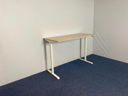 2 x Zit/sta bureau, licht eiken blad, wit onderstel, 160x80, Huis en Inrichting, Bureaus, Gebruikt, Stabureau, In hoogte verstelbaar