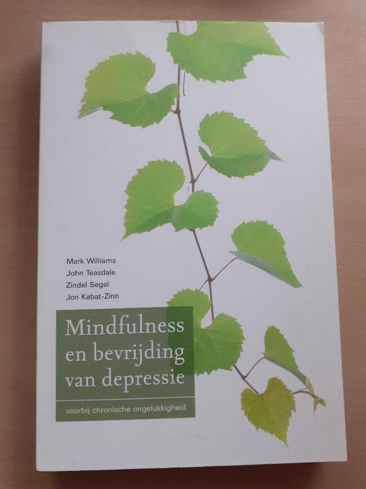 Mark Williams e.a. - Mindfulness en bevrijding van depressie, Boeken, Advies, Hulp en Training, Gelezen, Ophalen of Verzenden