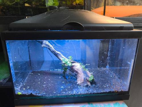 Aquarium 18 liters nano met toebehoren wortel met planten, Dieren en Toebehoren, Vissen | Aquaria en Toebehoren, Gebruikt, Ophalen