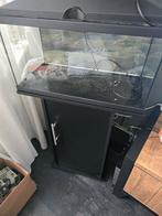 Aquarium, Ophalen of Verzenden, Leeg aquarium