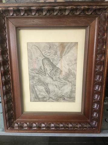 Oude prent van een luipaard in lijst beschikbaar voor biedingen