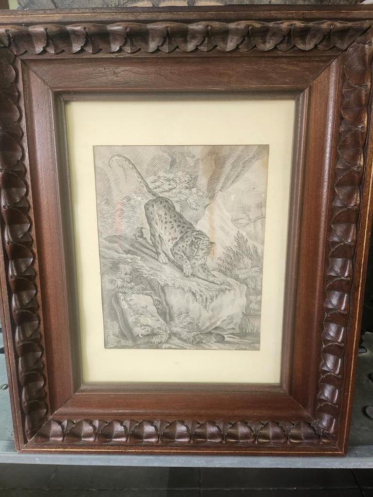 Oude prent van een luipaard in lijst, Antiek en Kunst, Kunst | Etsen en Gravures, Ophalen of Verzenden