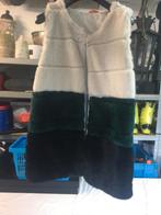 Bodywarmer "bontje", Ophalen of Verzenden, Zo goed als nieuw, Maat 38/40 (M), Overige kleuren