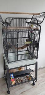 Parkieten kooi+ voer +bodembedekking, Dieren en Toebehoren, Ophalen, Zo goed als nieuw, Metaal, Vogelkooi