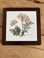 Villeroy en Boch Botanica (Ophalen), Huis en Inrichting, Keuken | Servies, Ophalen, Zo goed als nieuw, Porselein, Wedgwood