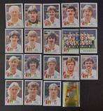 Feyenoord Panini 1985- 19 kaarten, Ophalen of Verzenden, Zo goed als nieuw, Meerdere plaatjes