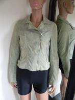 GOOSECRAFT   lederen jasje  MAAT M  NIEUW MET LABEL, Maat 38/40 (M), Goosecraft, Nieuw, Ophalen of Verzenden