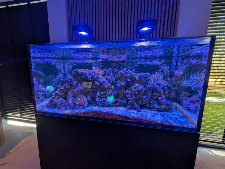 Red sea zeeaquarium 120 x 55 x 57, Dieren en Toebehoren, Vissen | Aquaria en Toebehoren, Gevuld zeewateraquarium, Ophalen