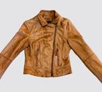 Bruin, leren jasje Arma – Maat 36, Kleding | Dames, Jassen | Winter, Niet ingevuld, Arma, Beige, Niet ingevuld