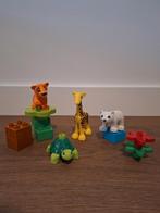 Lego Duplo set 10801 Jonge dieren, Kinderen en Baby's, Speelgoed | Duplo en Lego, Ophalen, Zo goed als nieuw, Duplo