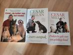 Cesar Millan honden training, Ophalen of Verzenden, Zo goed als nieuw