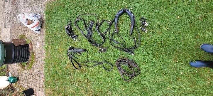 Enkelspantuig maat kleine fjord (pony?), Dieren en Toebehoren, Paarden en Pony's | Hoofdstellen en Tuigage, Gebruikt, Ophalen
