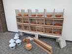 Te koop complete inrichting voor uw duivenhok., Dieren en Toebehoren, Vogels | Duiven, Meerdere dieren, Postduif