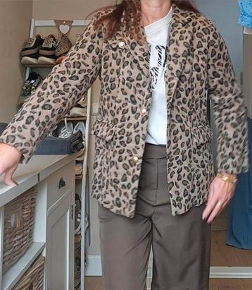 Stoere luipaard jas/ colbert S/M. beschikbaar voor biedingen