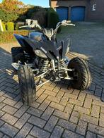Yamaha YFM 250 Raptor Special Edition, Motoren, Quads en Trikes, 250 cc