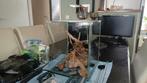 Dennerle aquarium aquascape 30l, Dieren en Toebehoren, Ophalen, Zo goed als nieuw, Leeg aquarium