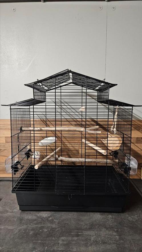 Mooi grote zgan vogelkooi met diverse accessoires, Dieren en Toebehoren, Vogels | Hokken en Kooien, Zo goed als nieuw, Vogelkooi