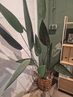 Grote kunstplant in mand, Ophalen, Minder dan 10 m²