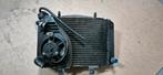 Radiateur compleet KTM Duke III 690 2008-2012, Gebruikt, Ktm, Ktm, Ophalen of Verzenden