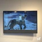 Bang & Olufsen BeoVision Horizon 40, 120 Hz, Zo goed als nieuw, 100 cm of meer, 4k (UHD)