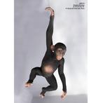 Hanging Monkey – Aap Hoogte 94 cm, Ophalen, Nieuw, Overige typen