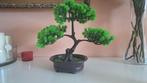 Bonsai, Dieren en Toebehoren, Vogels | Overige Vogels, Meerdere dieren