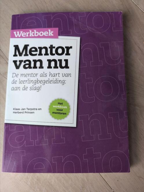 Klaas Jan Terpstra - Werkboek mentor van nu, Boeken, Overige Boeken, Zo goed als nieuw, Ophalen of Verzenden