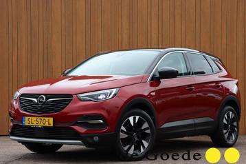 Opel Grandland X 1.2 Turbo Innovation OrgNL Two-Tone Leer ro beschikbaar voor biedingen