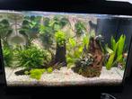 Juwel 70 pro 6mnd oud!!, Dieren en Toebehoren, Vissen | Aquaria en Toebehoren, Ophalen, Zo goed als nieuw, Leeg aquarium