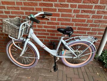 20 inch kinderfiets met mand beschikbaar voor biedingen