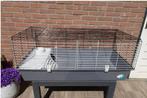 Nette GROTE kooi met huisje met voerbak !, Kooi, 110 cm of meer, Cavia, Zo goed als nieuw