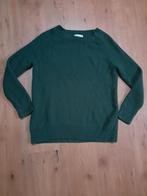 Trui Fabienne Chapot M, Maat 38/40 (M), Ophalen of Verzenden, Zo goed als nieuw, Fabienne Chapot