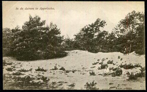 In de duinen te Appelscha - Cafe duinen zathe + 1927, Verzamelen, Ansichtkaarten | Nederland, Ongelopen, Friesland, 1920 tot 1940
