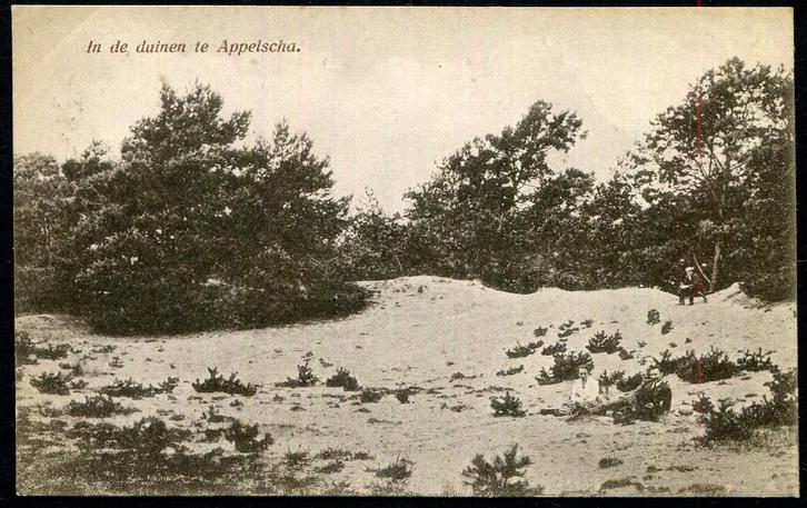 In de duinen te Appelscha - Cafe duinen zathe + 1927, Verzamelen, Ansichtkaarten | Nederland, Ongelopen, Friesland, 1920 tot 1940