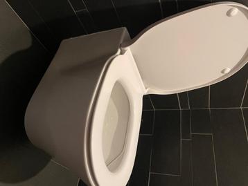 Ideal toilet