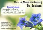 Rots- en alpenplanten te koop., Vaste plant, Ophalen