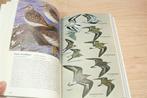 Complete Gids Vogels — Nederland, Europa en Noord-Afrika, Boeken, Ophalen of Verzenden, Zo goed als nieuw, Vogels