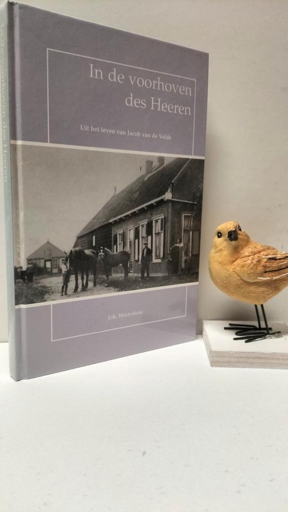 Westerbeke, John; In de voorhoven des Heeren, Boeken, Godsdienst en Theologie, Gelezen, Christendom | Protestants, Ophalen of Verzenden